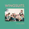 Wingsuits - Do You Mind - Single